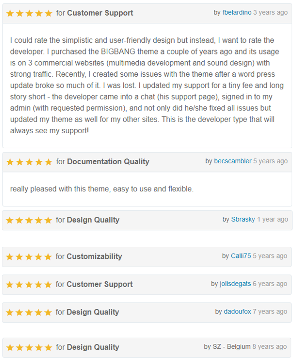 Bigbang wordpress theme review